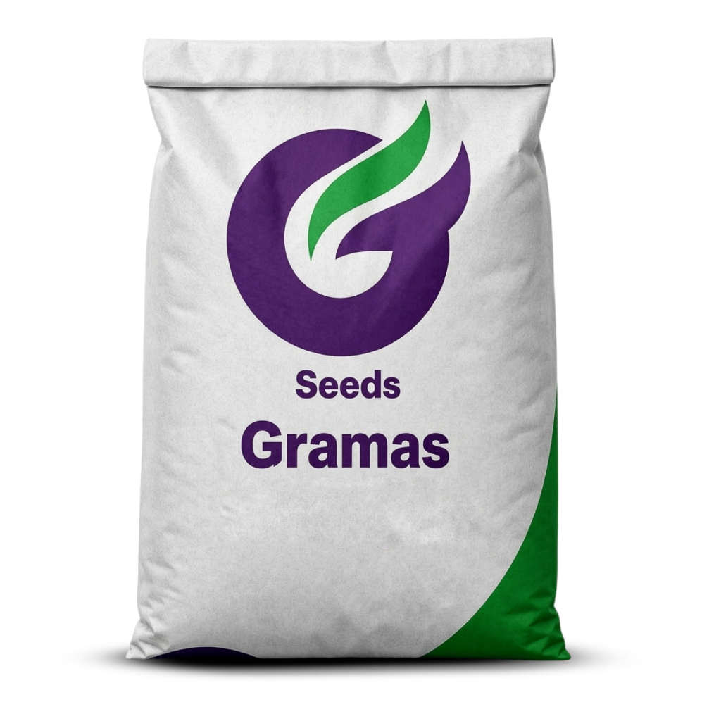 500g Sementes de Grama Batatais