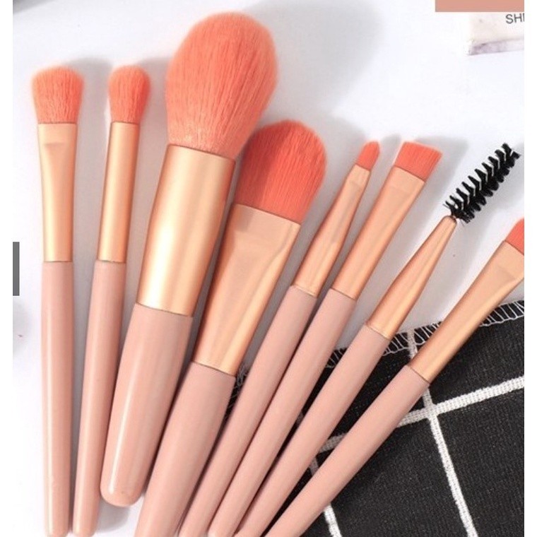 INLIS ANA Kit 8 Pincéis Com Maquiagem Para Base Blush E sombra